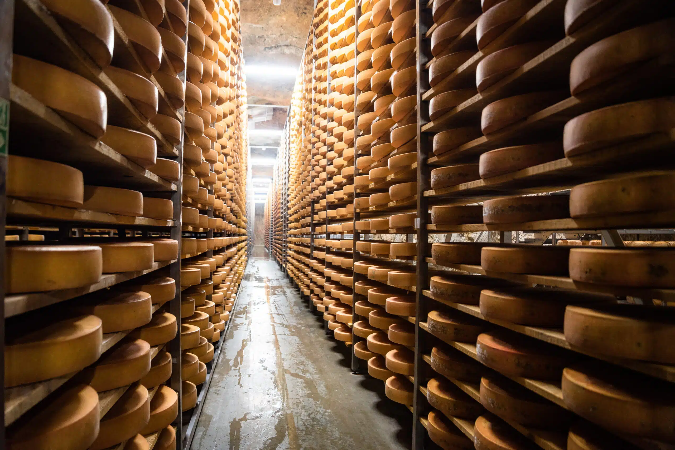 Water Efficiency in the Dairy Industry