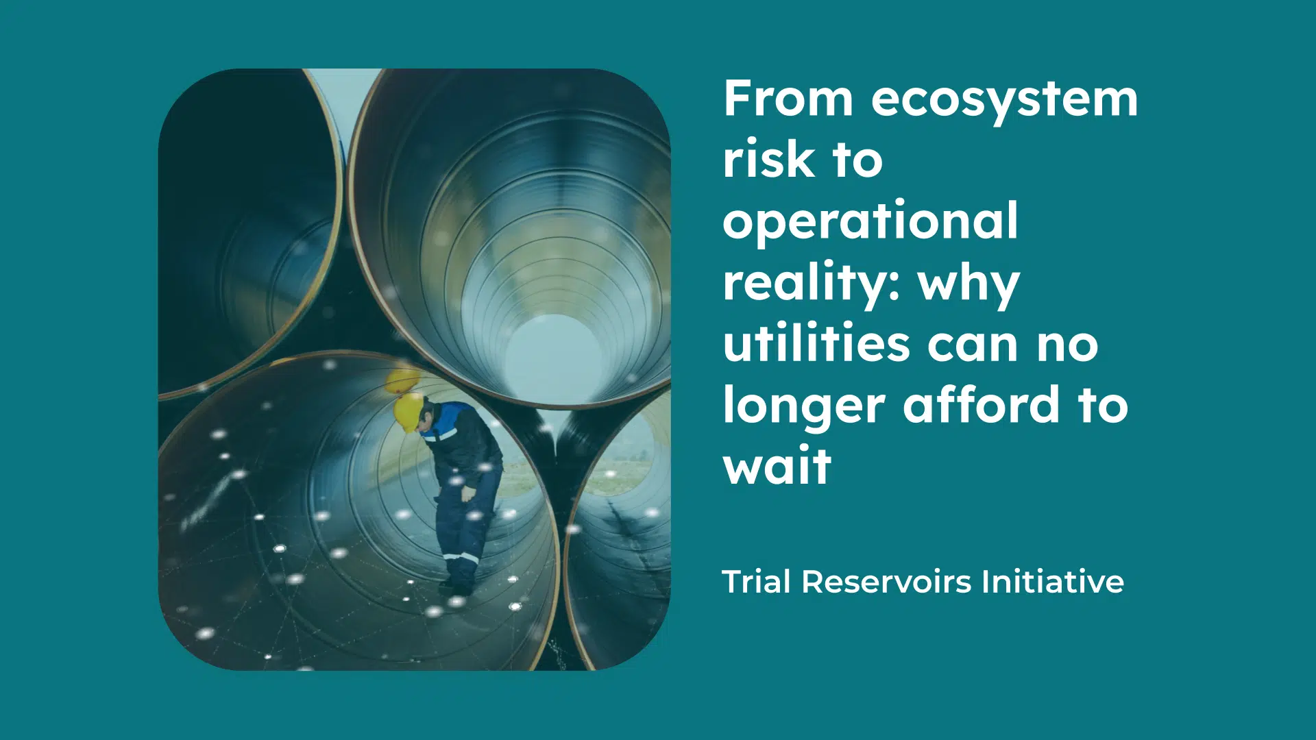 environmental risks