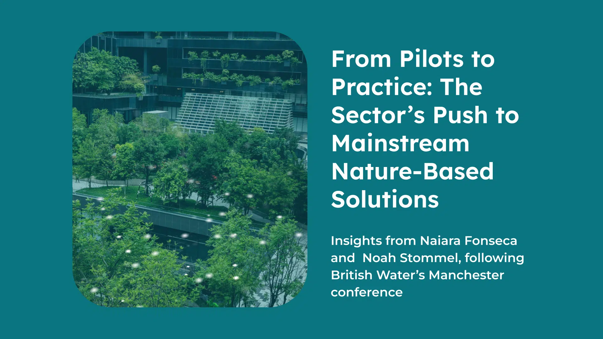 nature-based solutions in water sector